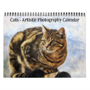 Cats Calendrier de la photographie artistique