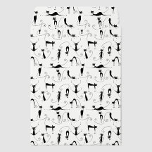 Cats Design 