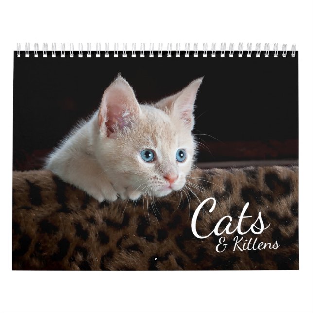Cats et chatons Calendrier photo pour animaux de c (Protection)