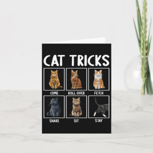 Cats Funny Cat Tricks Karte