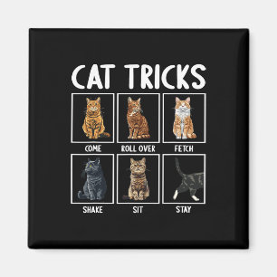 Cats Funny Cat Tricks Magnet