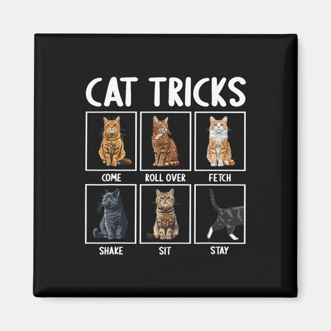 Cats Funny Cat Tricks Magnet (Vorne)