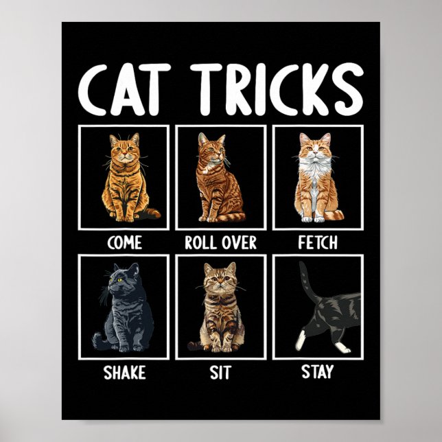 Cats Funny Cat Tricks Poster (Vorne)