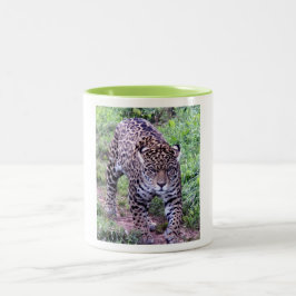 Cats Jaguar Safari Destiny Nature Zweifarbige Tasse