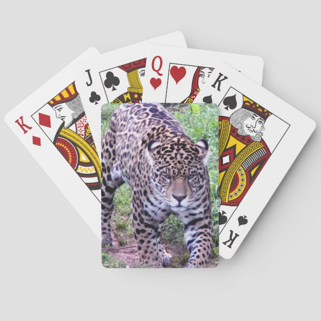 Cats Jaguar Safari Jungle Destiny Nature Peace Spielkarten (Rückseite)