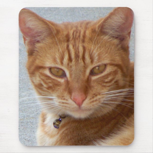 Cat's Lover_ Mousepad (Vorne)