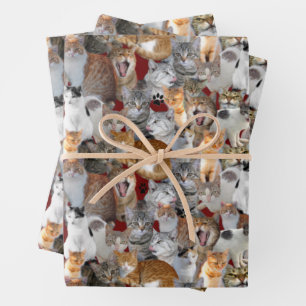 Cats meeting point - collage geschenkpapier set