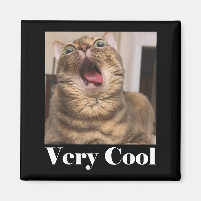 Cats Meme Graphic Silly Cat Humor Funny Cat Very C Magnet (Vorne)