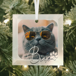 Cat's Modern Simple Cool Grunge Name and Foto Ornament Aus Glas