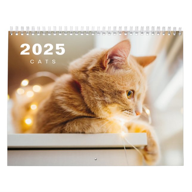 Cats Photo Moderne 2025 Calendrier (Protection)