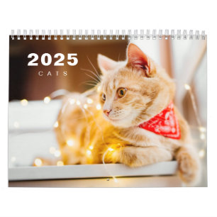 Cats Photo Moderne 2025 Calendrier