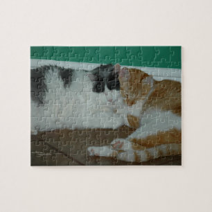 Cats Puzzle