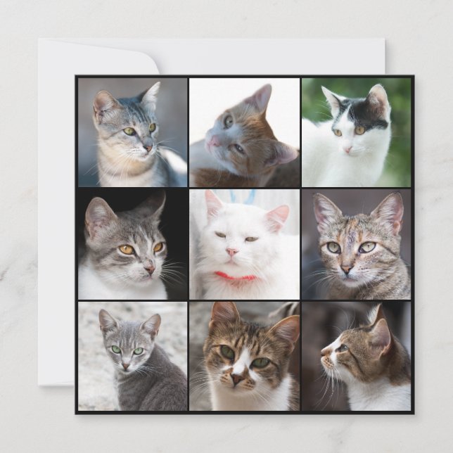 CATS-Vorlage - Foto ändern (Vorderseite)