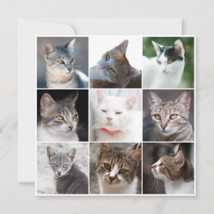 CATS-Vorlage - Foto ändern