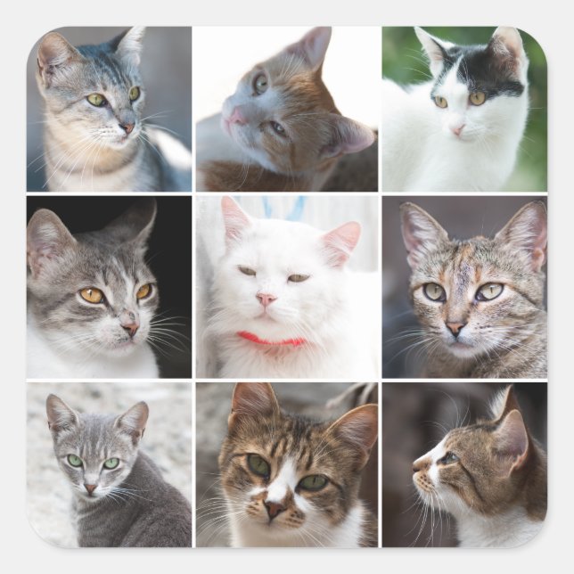 CATS-Vorlage - Foto ändern Quadratischer Aufkleber (Vorderseite)