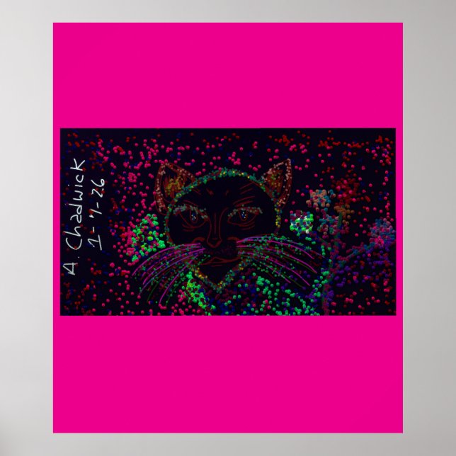 Cat's Wonderland Poster (Devant)