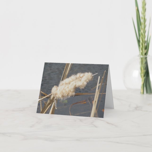 Cattail in März Note Card Feiertagskarte (Vorderseite)