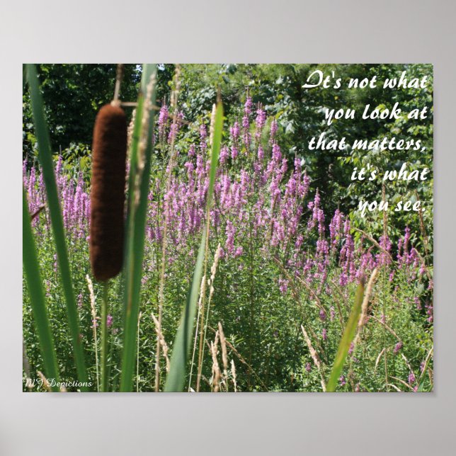 Cattail & Wildblume Inspiration Poster (Vorne)
