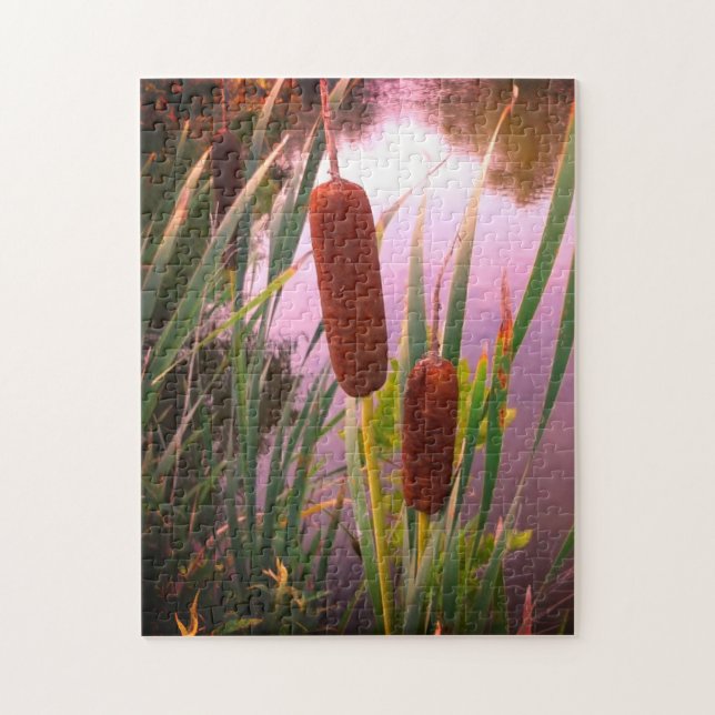Cattails (Vertikal)