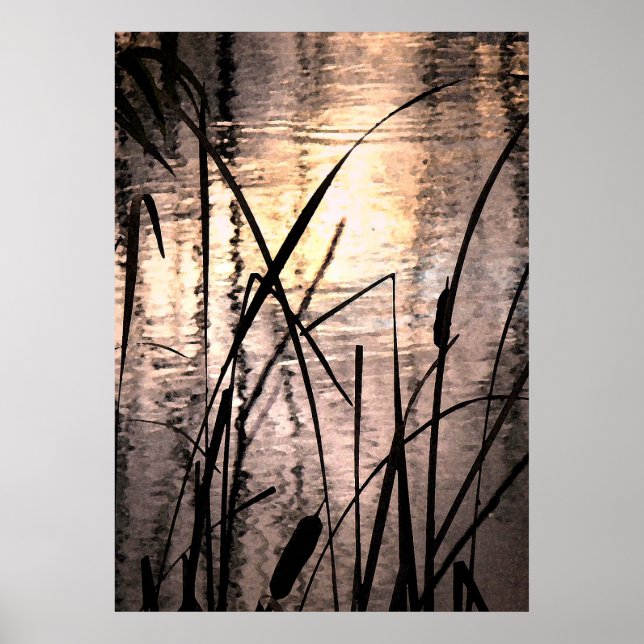 Cattails bei Sunset Poster (Vorne)