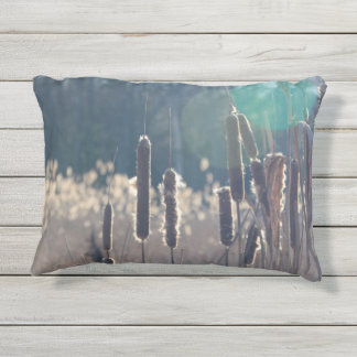 Cattails dans le Coussin Sun 16 X 12
