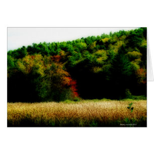 Cattails en Nouvelle-Angleterre à l'automne