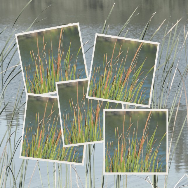 Cattails Wasserfront Fotosee Serviette (Von Creator hochgeladen)
