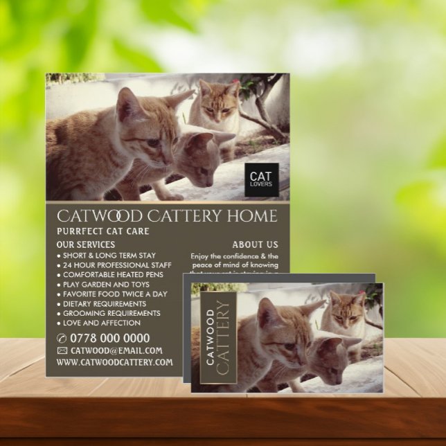 Cattery, Boarding-Service, Werbung Flyer (Von Creator hochgeladen)