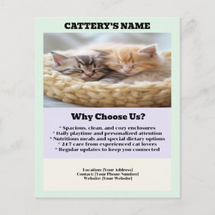 Cattery Flyer Chic und Simple