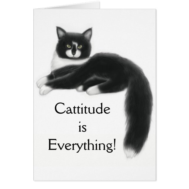 Cattitude ist alles Karte (Vorne)