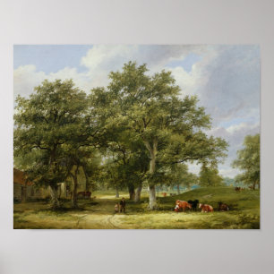 Cattle Grazing Poster