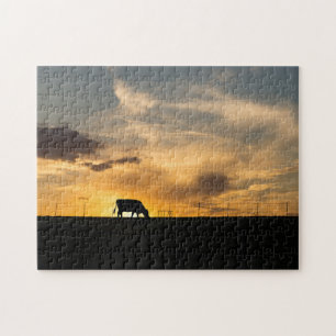 Cattle Sunset Silhouette