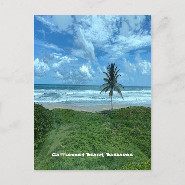 Cattlewash Beach, Barbados Postkarte (Vorderseite)