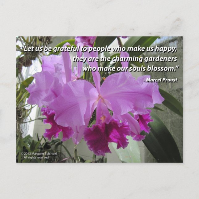 Cattleya Orchid Liebe und Freundschaft Postkarte (Vorderseite)