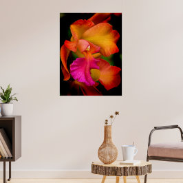 Cattleya Orchid Portrait Poster