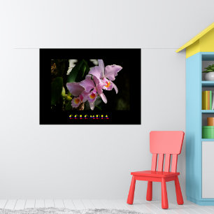 Cattleya Orchid Poster
