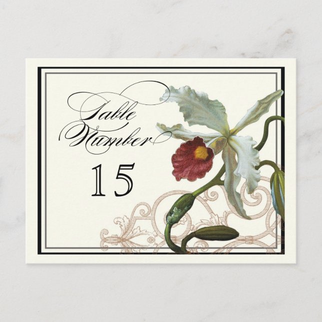 Cattleya Orchid taupe - Tabelle Platzkarte Nummern Postkarte (Vorderseite)