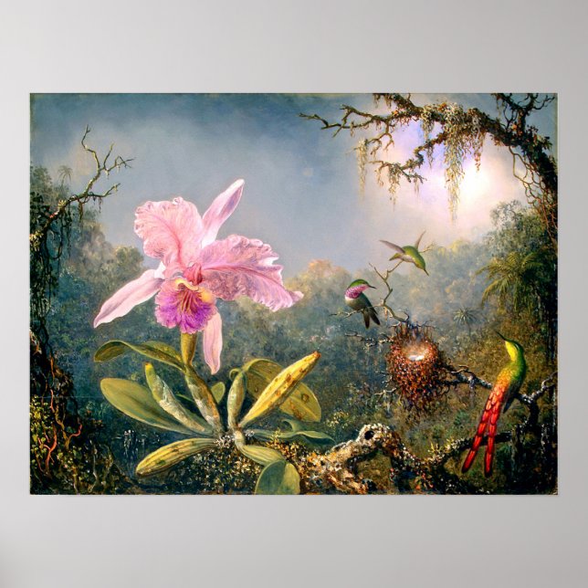 Cattleya Orchid und Drei Hummingvögel Poster (Vorne)