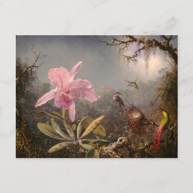 Cattleya Orchid und Drei Hummingvögel Postkarte (Vorderseite)