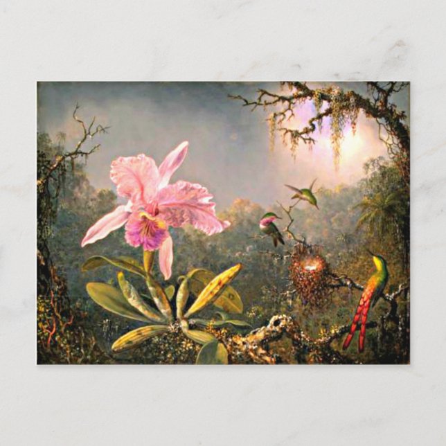 Cattleya Orchid und Drei Hummingvögel Postkarte (Vorderseite)