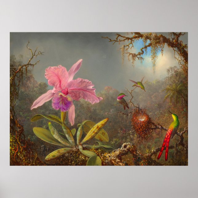 Cattleya Orchid und Three Hummingbirds Heade Poster (Vorne)