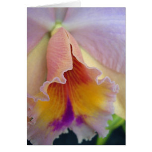 Cattleya Orchideen-Karte