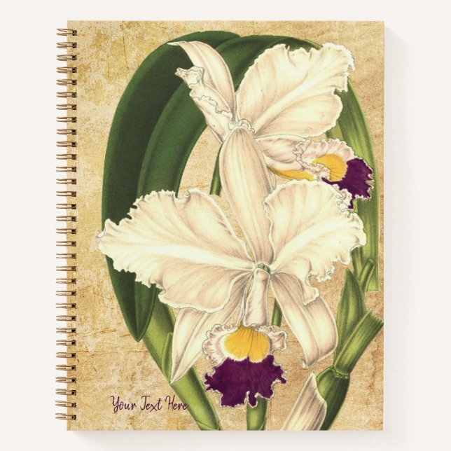 Cattleya quadricolor Carnet spiral (Devant)