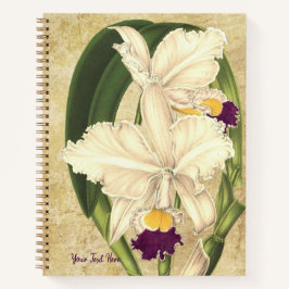 Cattleya quadricolor SpiralNotebook Notizbuch