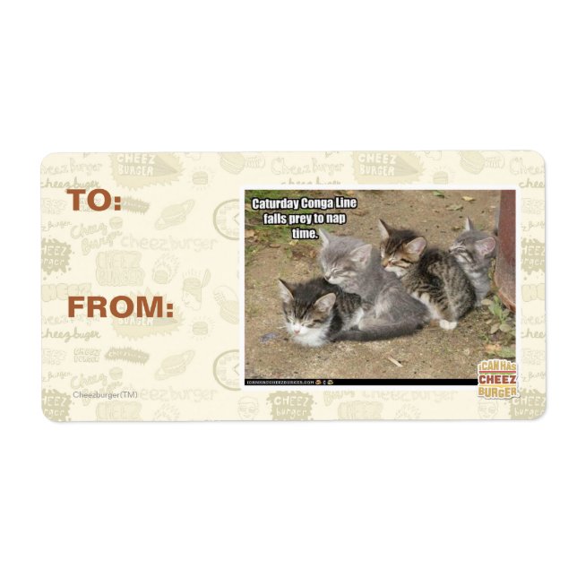 Caturday Conga Line (Vorne)