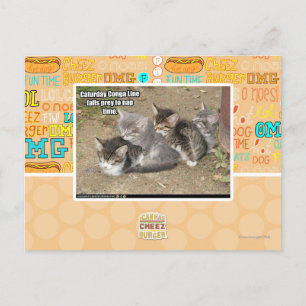 Caturday Conga Line Postkarte