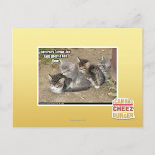 Caturday Conga Line Postkarte