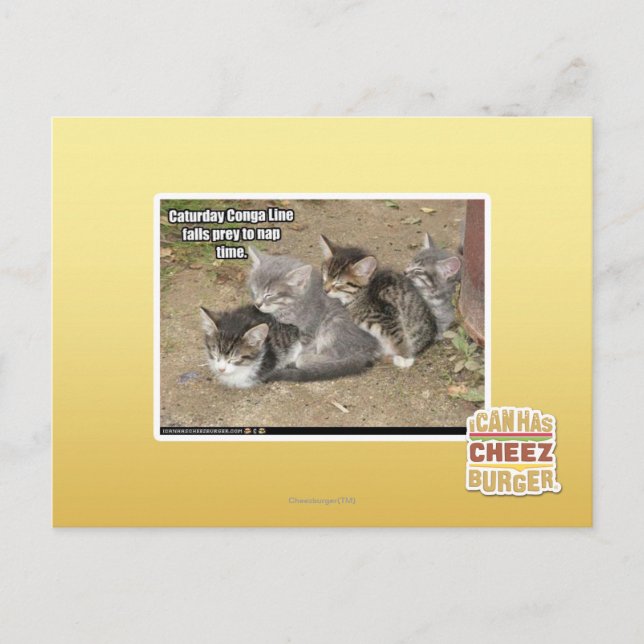 Caturday Conga Line Postkarte (Vorderseite)