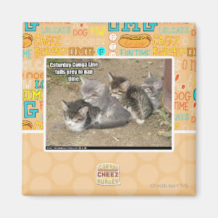 Caturday Conga-Linie Magnet