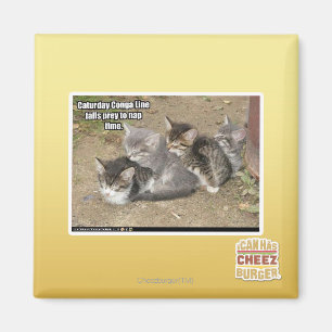 Caturday Conga-Linie Magnet
